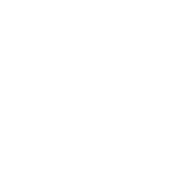 Icon Haus